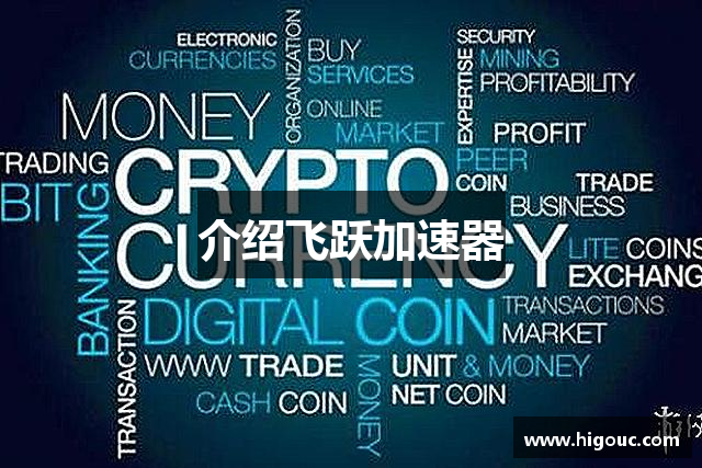 介绍飞跃加速器